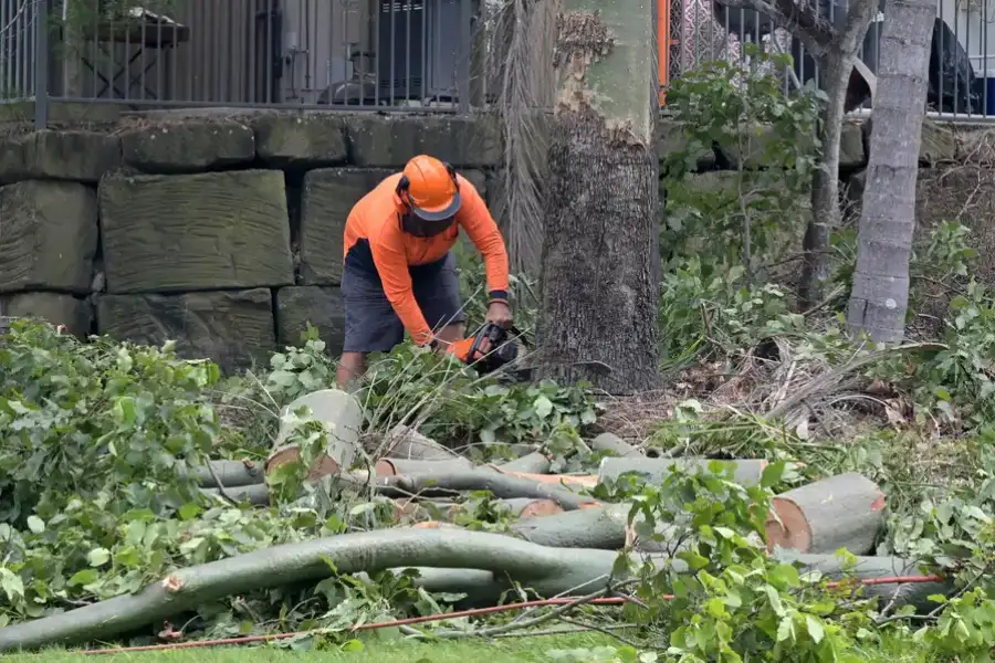 Excellent Tree Removal Lagrange, GA Excellent Tree Removal Lagrange, GA