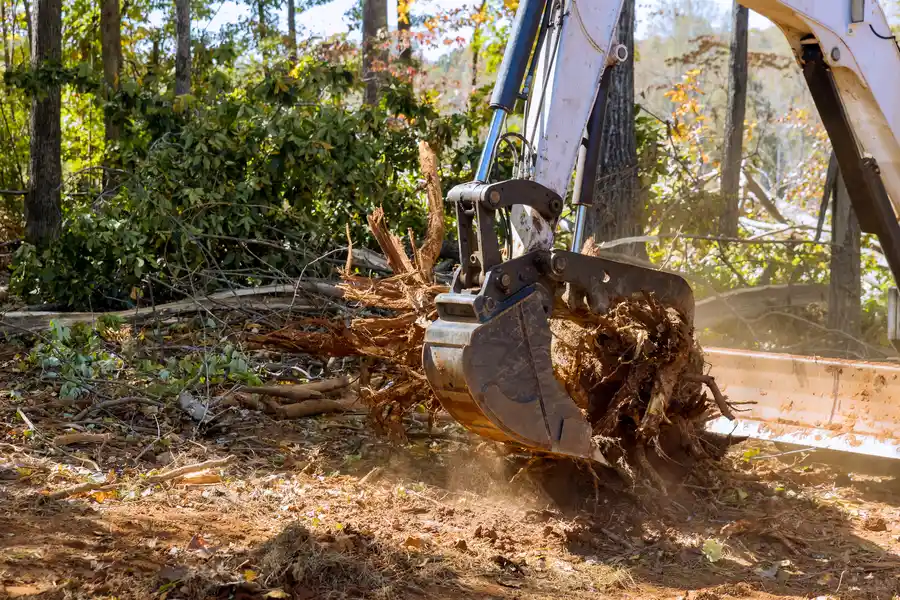 Experienced Stump Removal Lagrange, GA Experienced Stump Removal Lagrange, GA