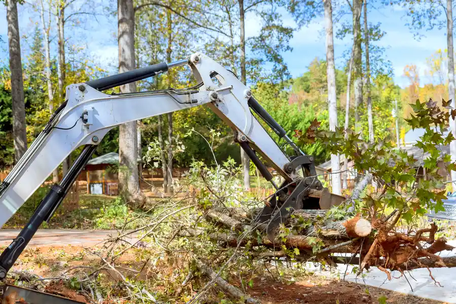 Quality Land Clearing Lagrange, GA Quality Land Clearing Lagrange, GA