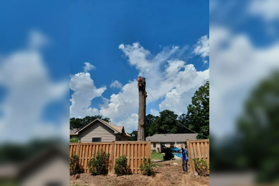 Reliable Tree Expert in Lagrange, GA Reliable Tree Expert Lagrange GA